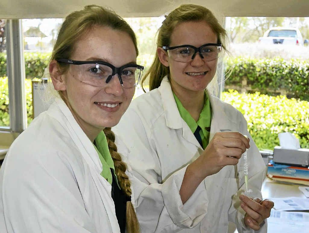 LEFT, Elizabeth Graham and Emily Slack take samples on their excursion to the Hermitage. LEFT, Elizabeth Graham and Emily Slack take samples on their excursion to the Hermitage.